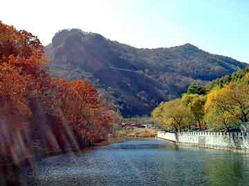 杭州绿色家居新选择，鲜花盆景出租房，美化生活空间