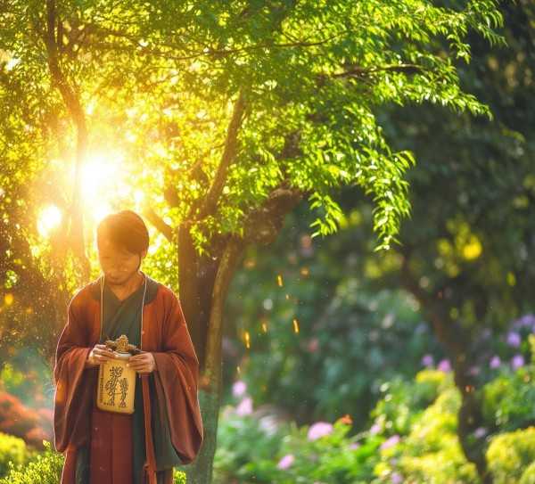 绿色养护秘法，高效杀虫生根，绽放美丽花开
