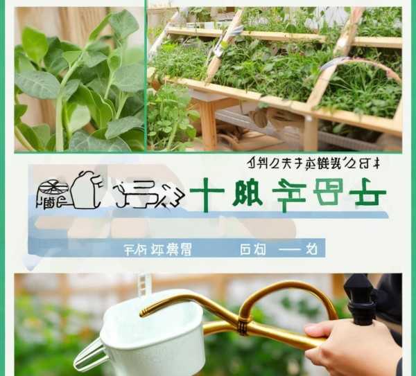 网购园艺养护秘籍，施肥技巧大揭秘